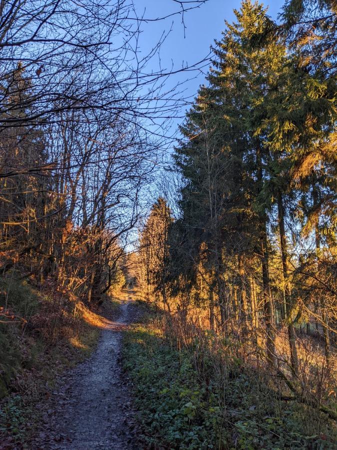 Zentrale und gemütliche Ferienwohnung in Winterberg nah an der Natur Exterior foto