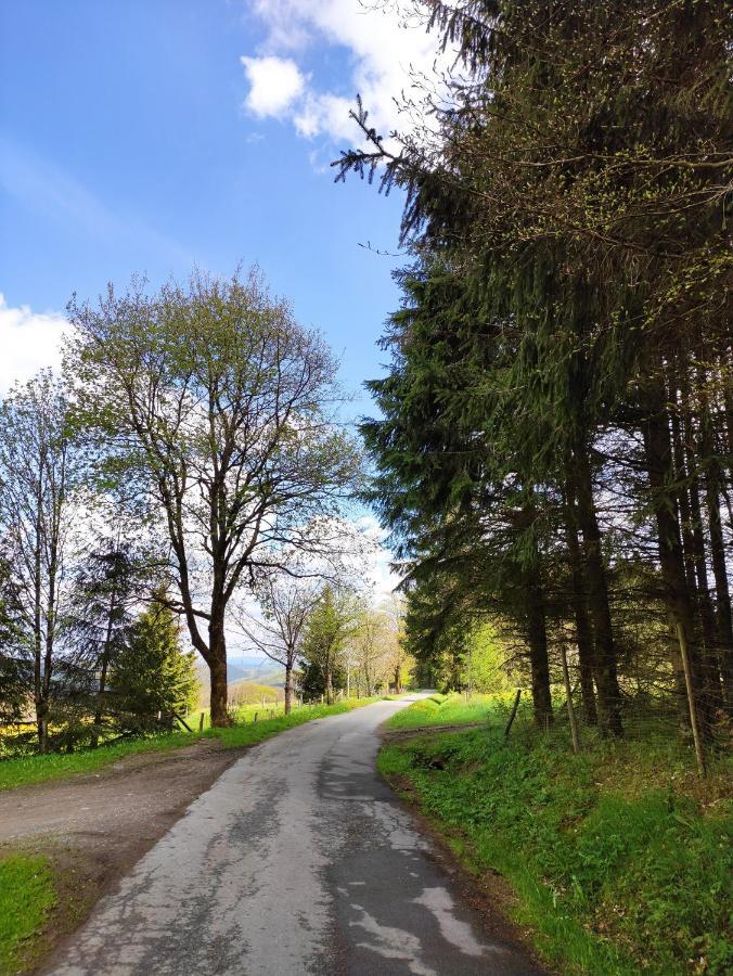 Zentrale und gemütliche Ferienwohnung in Winterberg nah an der Natur Exterior foto