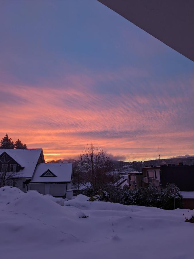Zentrale und gemütliche Ferienwohnung in Winterberg nah an der Natur Exterior foto